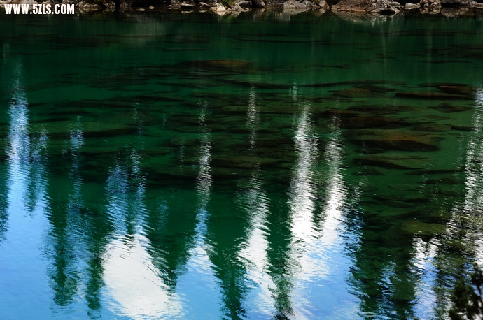 DSC_4880.jpg