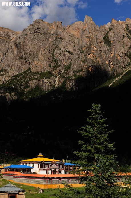DSC_5017.jpg
