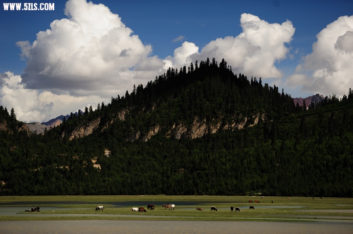 DSC_5346.jpg