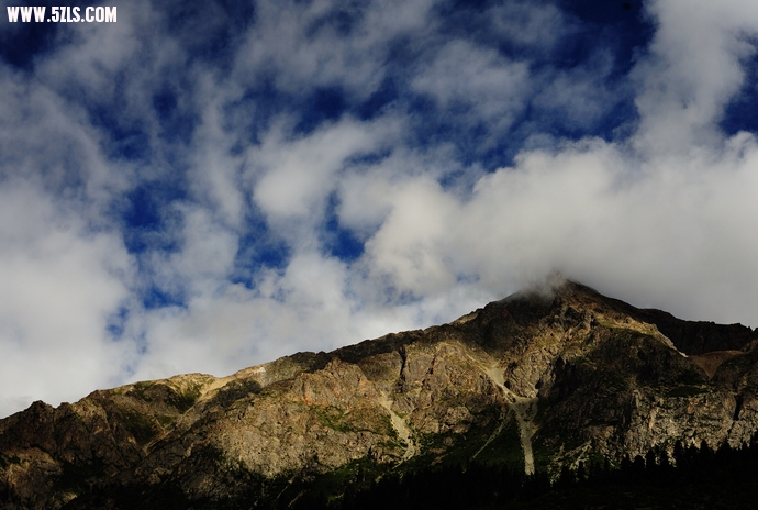 DSC_5266.jpg