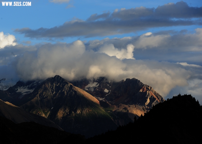 DSC_5447.jpg