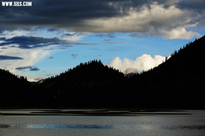 DSC_5458.jpg