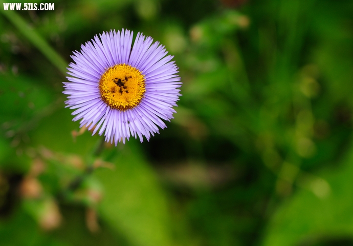 DSC_5781.jpg