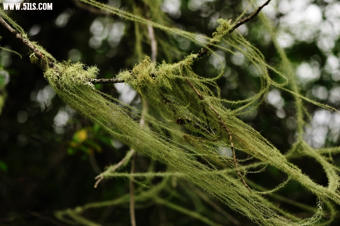 DSC_5878.jpg