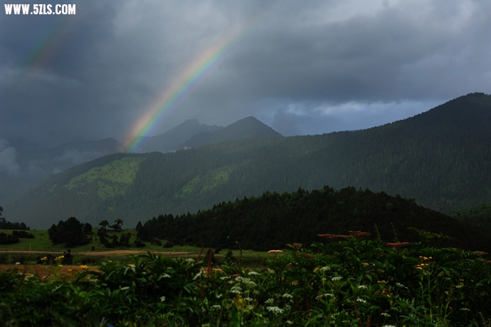 DSC_6034.jpg