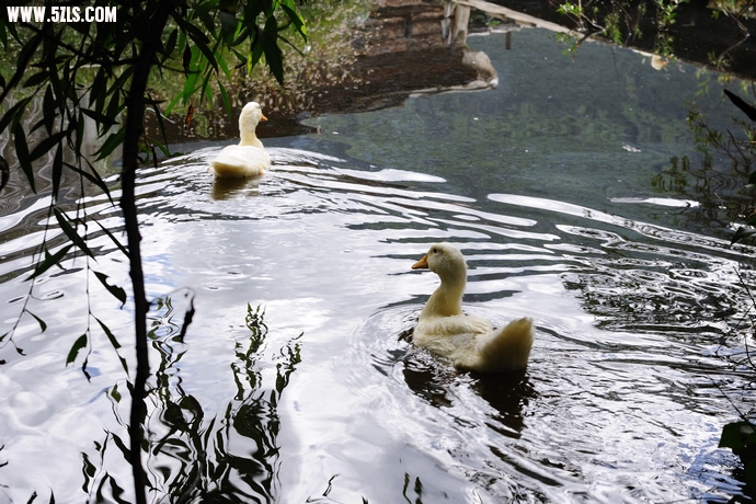 DSC_6145.jpg
