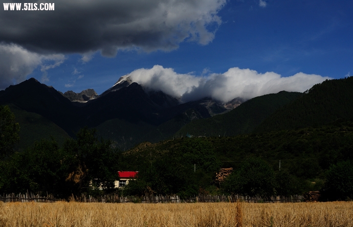 DSC_6206.jpg
