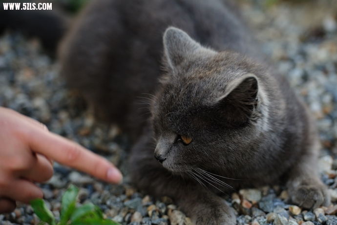 DSC_6280.jpg