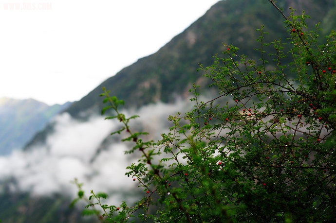 DSC_6448.jpg