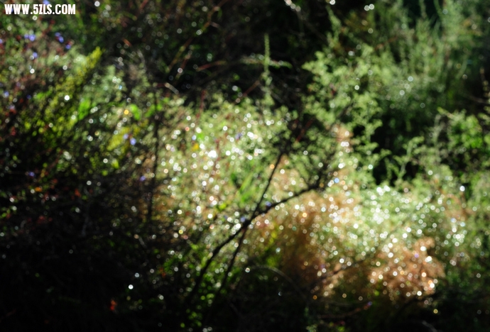 DSC_6600.jpg