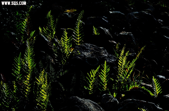 DSC_6588.jpg