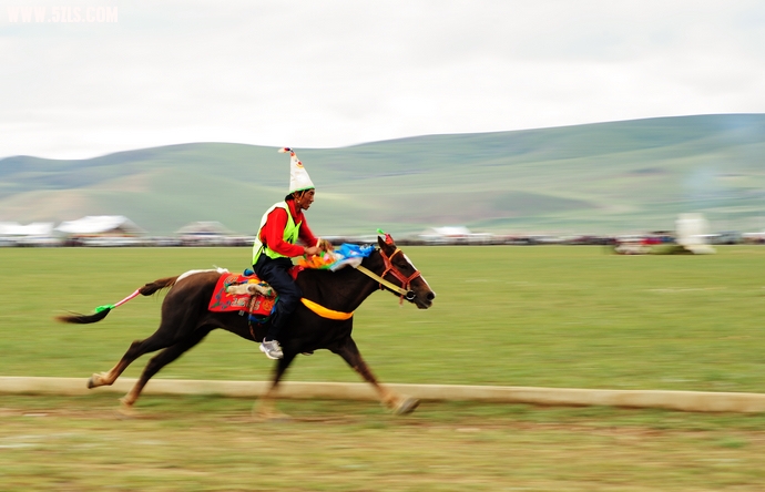 DSC_6918.jpg