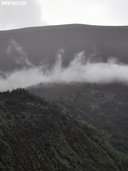 DSC_0041-1.jpg
