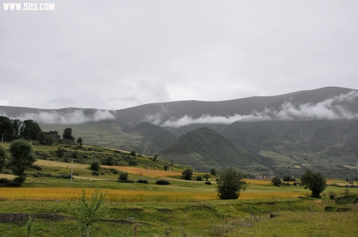 DSC_0037-1.jpg