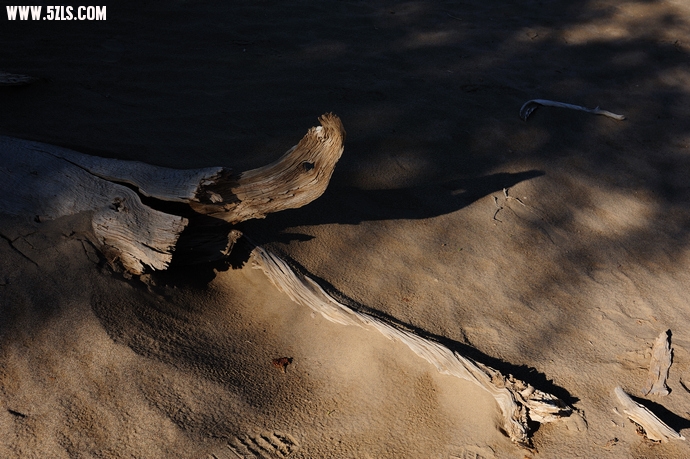 DSC_8313.jpg