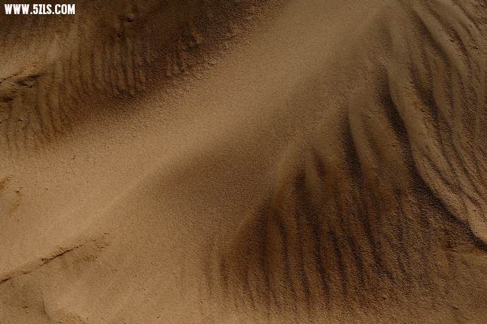 DSC_8546.jpg