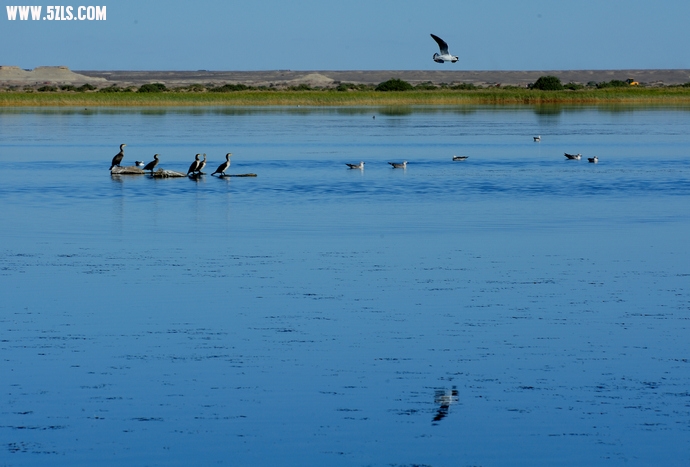 DSC_8603.jpg