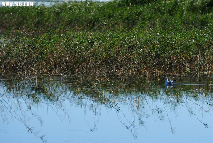 DSC_8606.jpg