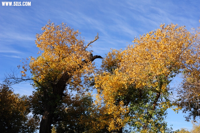 DSC_8764.jpg