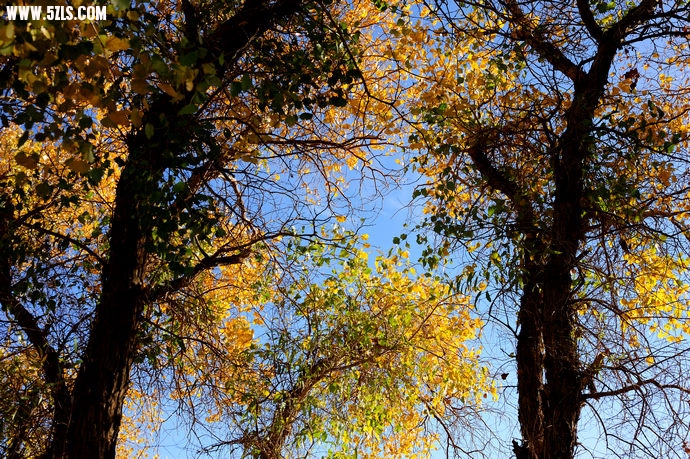 DSC_8776.jpg