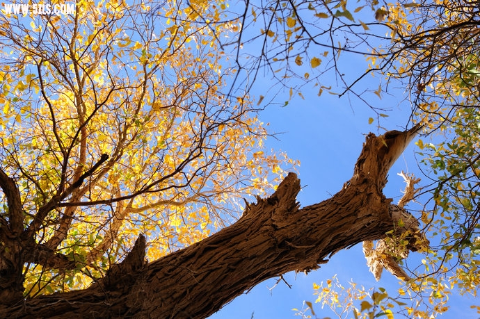 DSC_8779.jpg