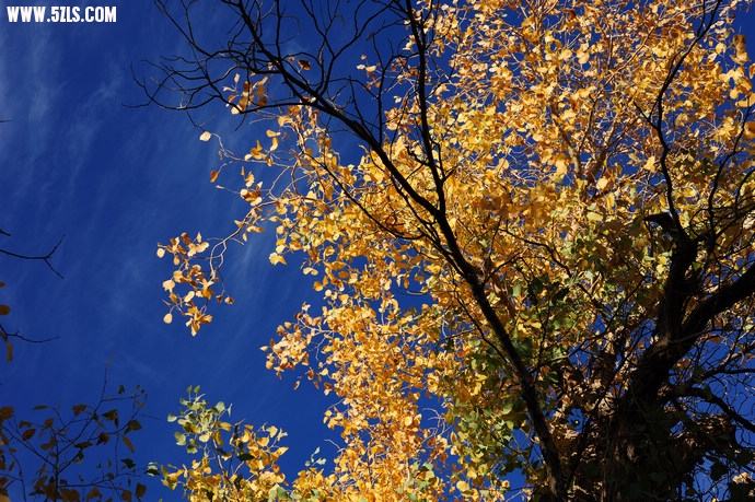 DSC_8814.jpg