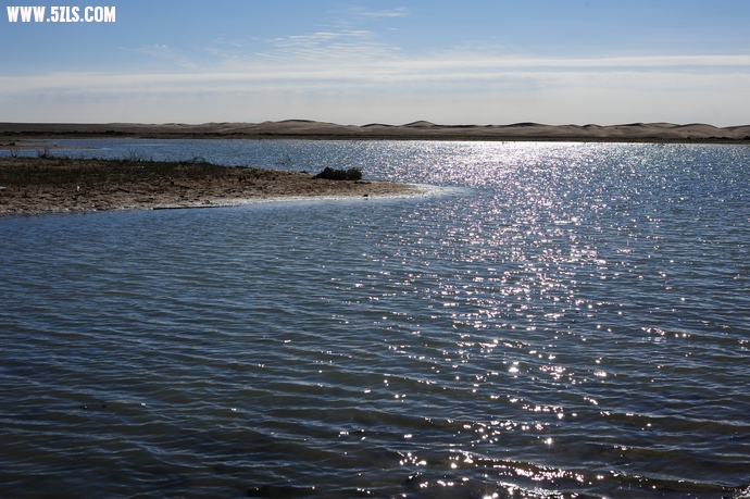DSC_8931.jpg