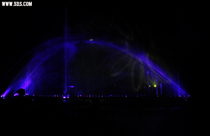DSC_8541.jpg