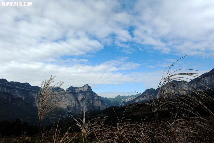 DSC_8827.jpg