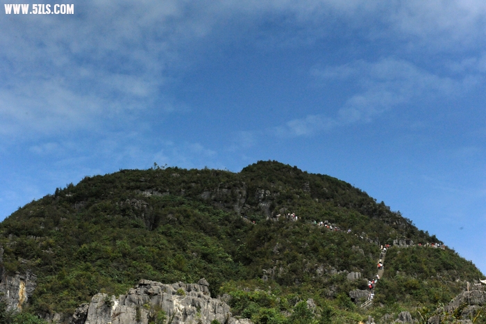 DSC_8856.jpg
