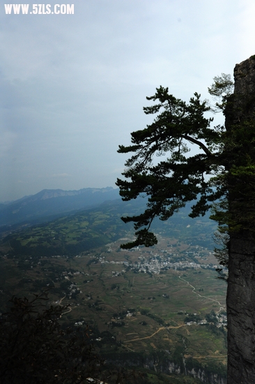DSC_8945.jpg