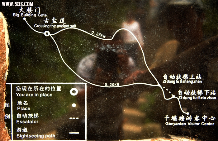 DSC_8994.jpg