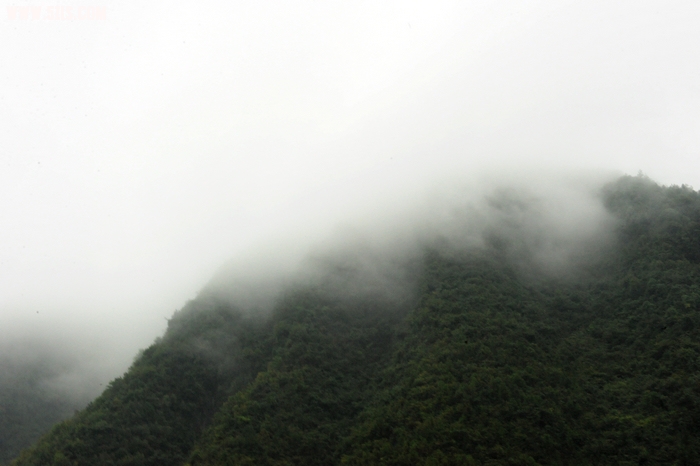 DSC_9038.jpg