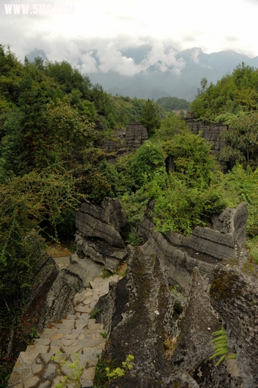 DSC_9113.jpg