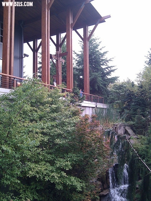 IMG_20100926_150018.jpg