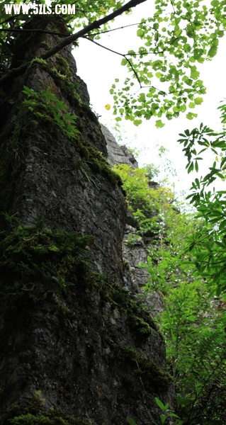 IMG_0096_С.JPG