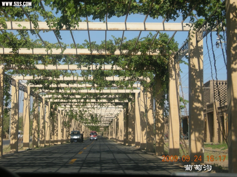 DSCN4659.JPG