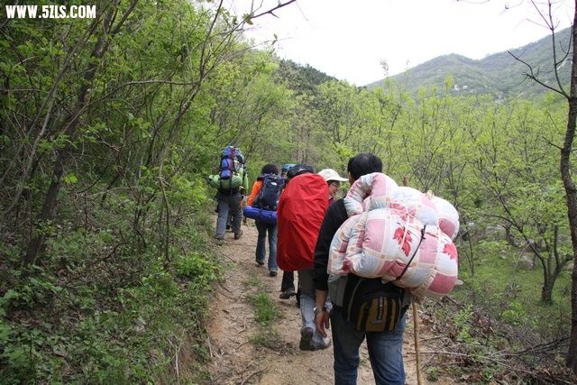 201010618245921741.jpg