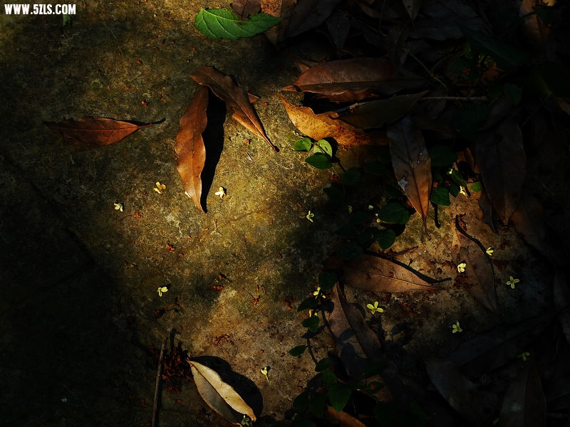 Ƭ 033.jpg