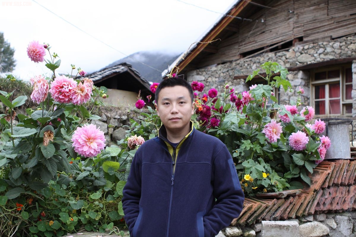 花丛中的