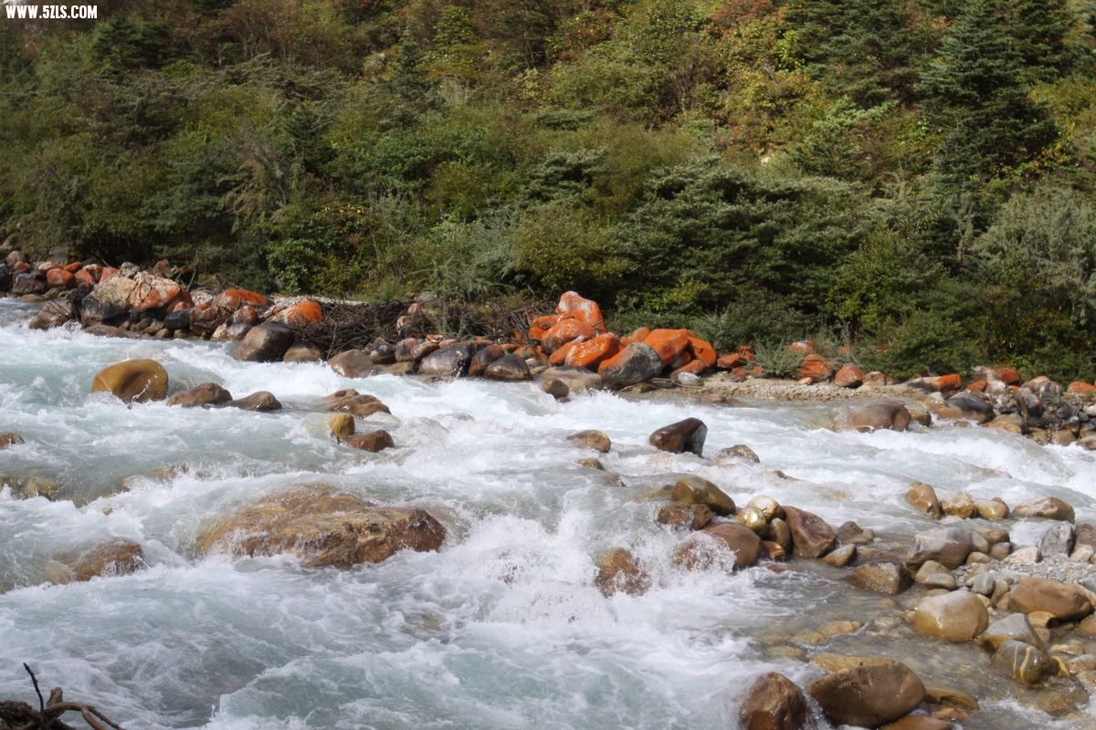 冰水,冰得刺骨