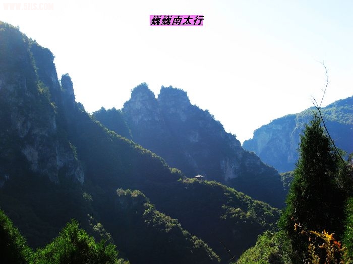 nEO_IMG_IMG_0214.jpg