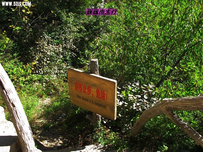 nEO_IMG_IMG_0266.jpg
