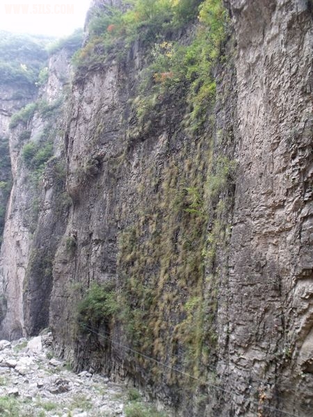DSCF1119.JPG