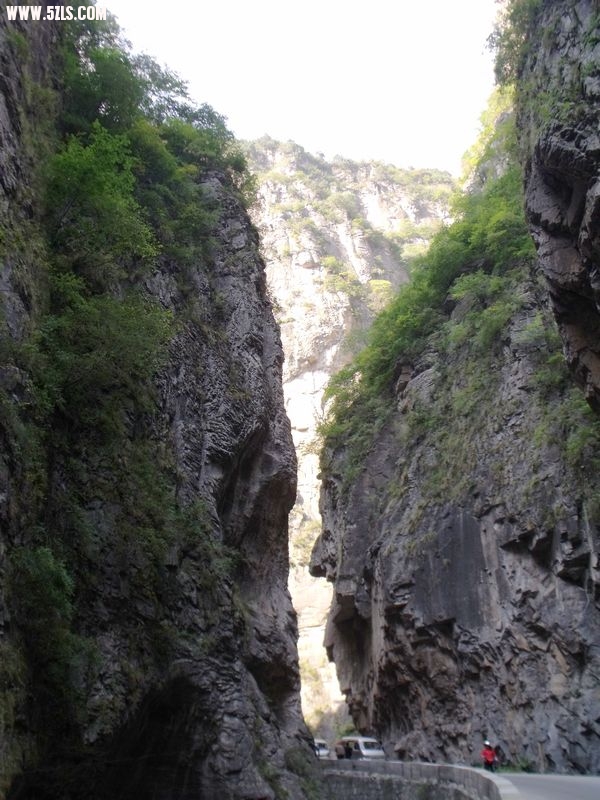 DSCF1126.JPG