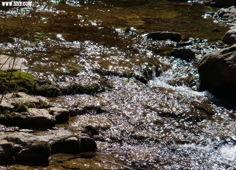 DSC07680.JPG