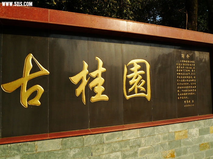 Ƭ 081.jpg