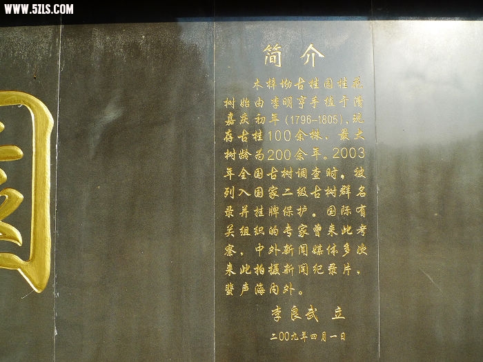 Ƭ 082.jpg