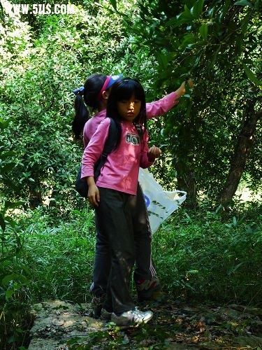 Ƭ 030.jpg
