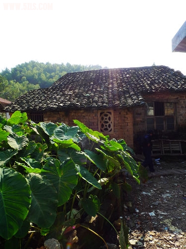 Ƭ 058.jpg